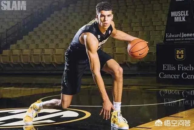 如何评价迈克尔波特？