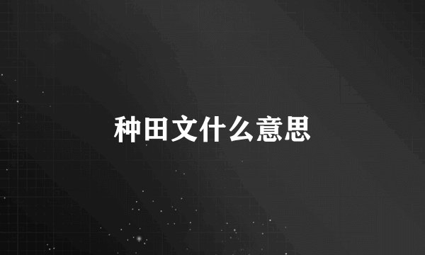 种田文什么意思