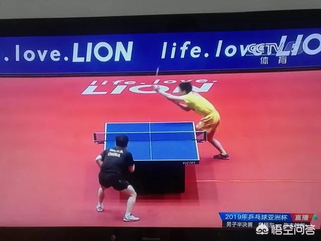 樊振东4:1逆转张本智和晋级2019年亚洲杯男单决赛，如何评价本场比赛双方的表现？