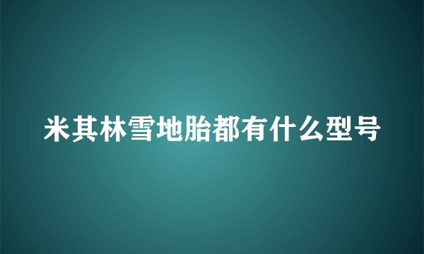米其林雪地胎都有什么型号