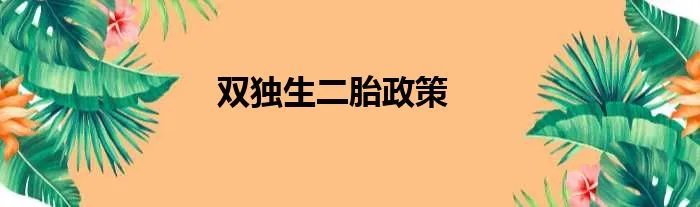双独生二胎政策