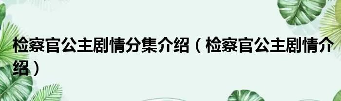 检察官公主剧情分集介绍(检察官公主剧情介绍)