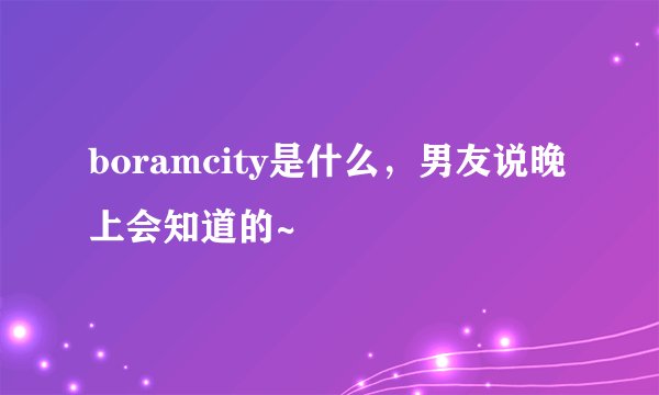 boramcity是什么，男友说晚上会知道的~