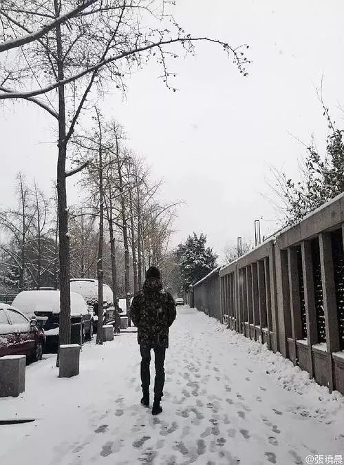 如何评价演员张晓晨？