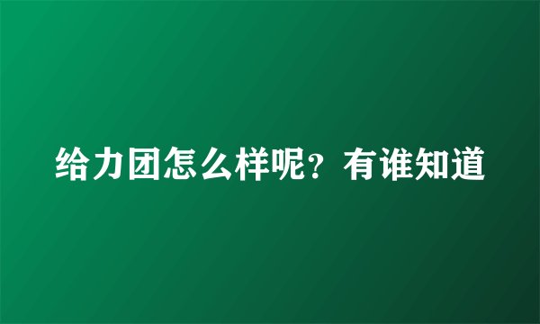 给力团怎么样呢？有谁知道