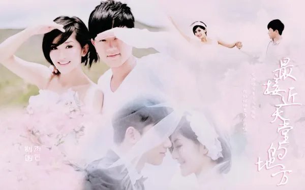 张杰和谢娜的照片（50张）