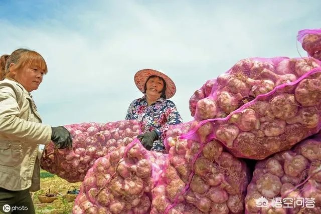 大蒜种植用什么肥料？