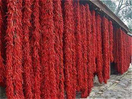 西安的裤带面是怎么做的？