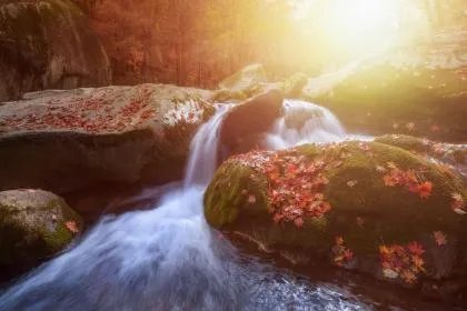 2020年秋分日子好不好？2020年秋分是黄道吉日吗？