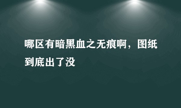 哪区有暗黑血之无痕啊，图纸到底出了没