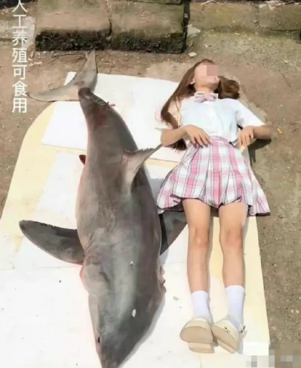 网红提子账号被禁封，平台到底该如何对“网红”进行监管？