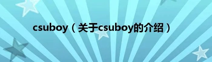 csuboy（关于csuboy的介绍）
