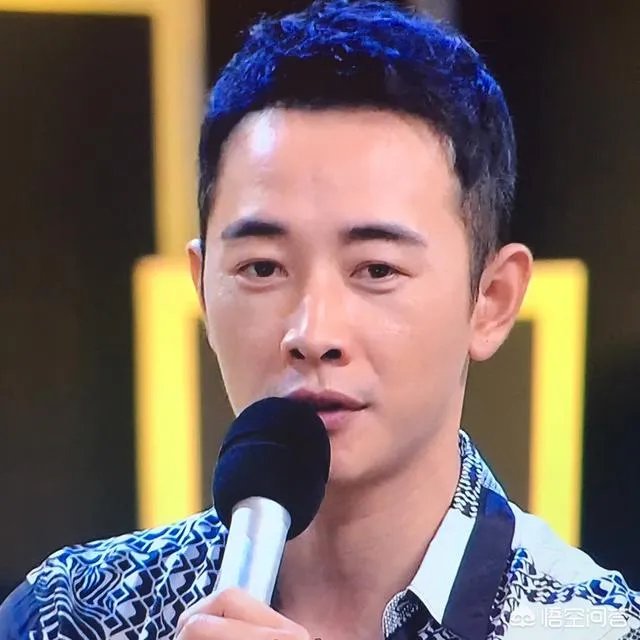 你怎么看电视剧《归去来》中王志文扮演的书望？