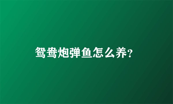 鸳鸯炮弹鱼怎么养？