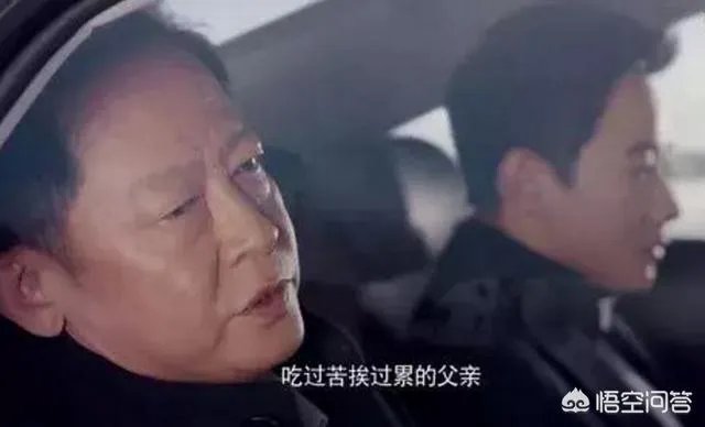你怎么看电视剧《归去来》中王志文扮演的书望？