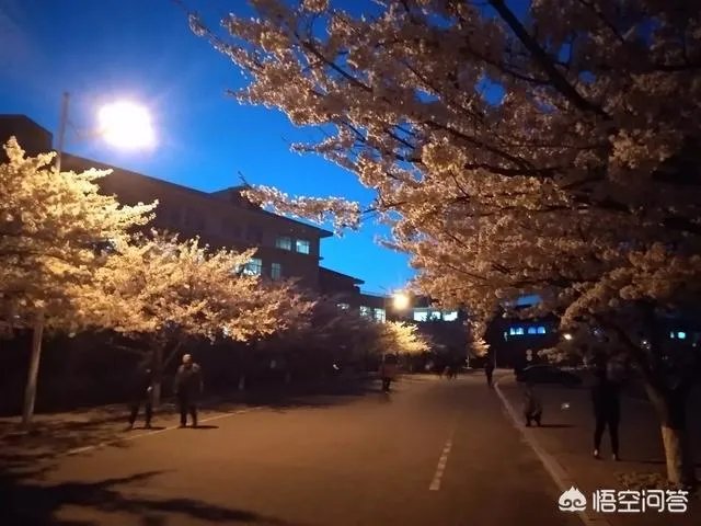 青岛最大的小区