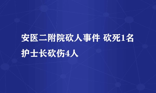 安医二附院砍人事件 砍死1名护士长砍伤4人