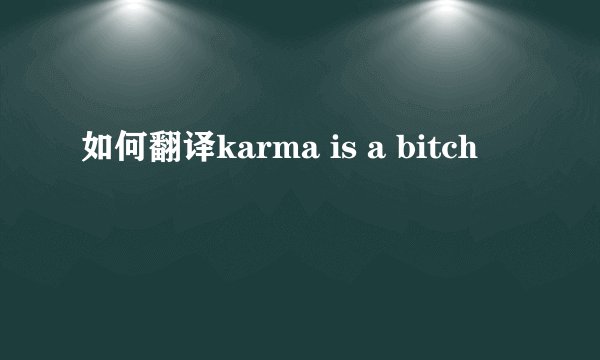 如何翻译karma is a bitch