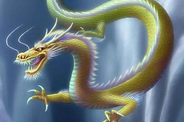 四海为家打一个生肖？