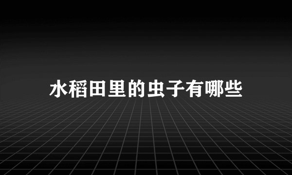水稻田里的虫子有哪些