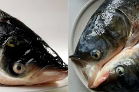 鱼头的做法有哪些