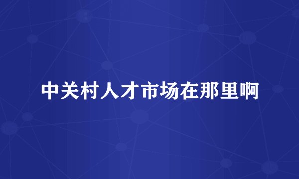 中关村人才市场在那里啊