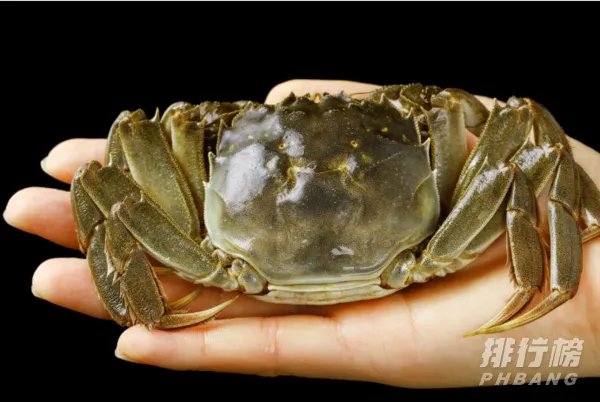 清蒸大闸蟹蒸多久最佳时间_清蒸大闸蟹的做法步骤窍门