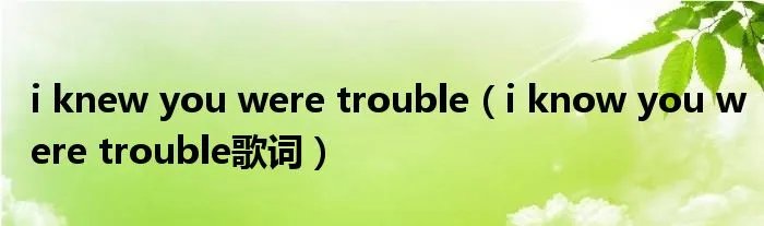 i knew you were trouble（i know you were trouble歌词）