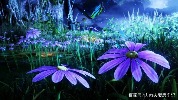 大明二明为什么不自己救小舞姐，非要唐三，是什么限制他们？