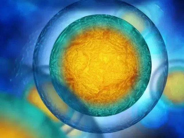 西安助孕公司机构做试管婴儿怎么收费-西安高新医院试管婴儿费用明细表，2023年助孕全过程详情公开