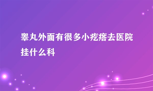 睾丸外面有很多小疙瘩去医院挂什么科