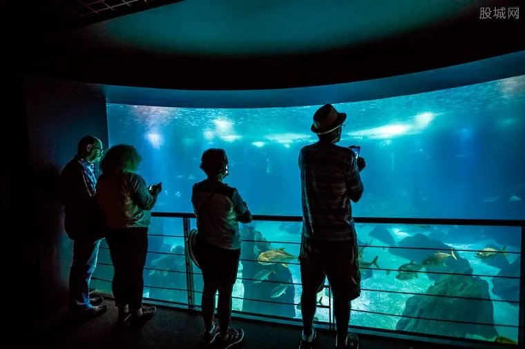 郑州海洋馆门票多少钱 郑州海洋馆游玩攻略