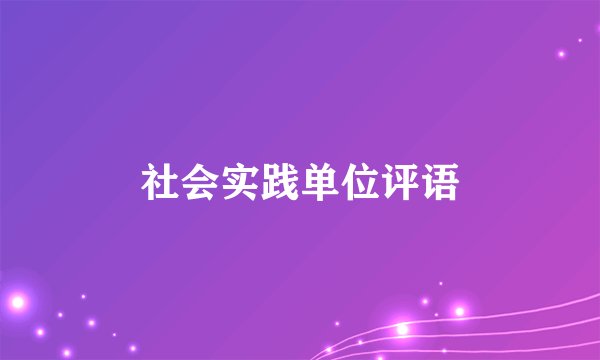 社会实践单位评语