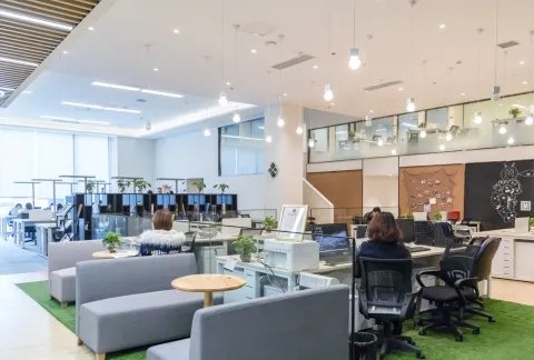 公司重新改名怎么办理