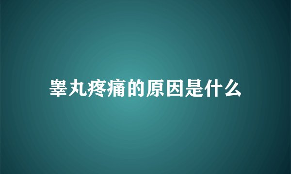 睾丸疼痛的原因是什么