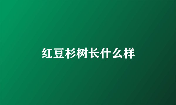 红豆杉树长什么样