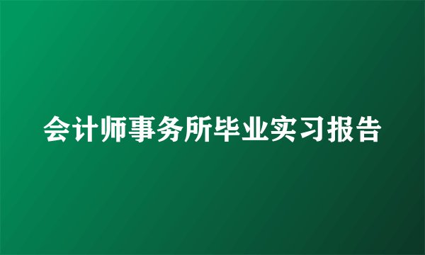 会计师事务所毕业实习报告