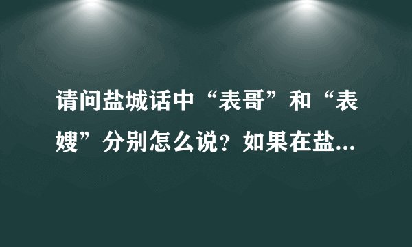 请问盐城话中“表哥”和“表嫂”分别怎么说？如果在盐城有特别的说法，请把这个特别的说法写下来。