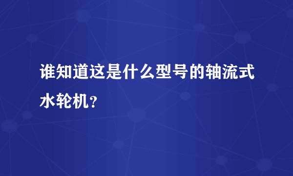 谁知道这是什么型号的轴流式水轮机？
