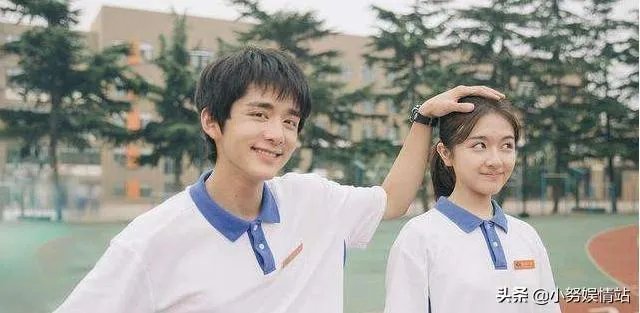 《冰糖炖雪梨》这部电视剧剧情是什么？