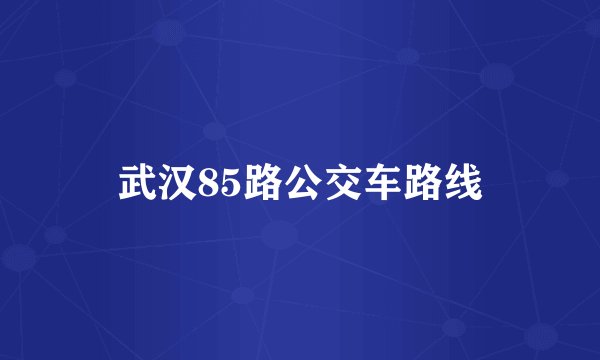 武汉85路公交车路线