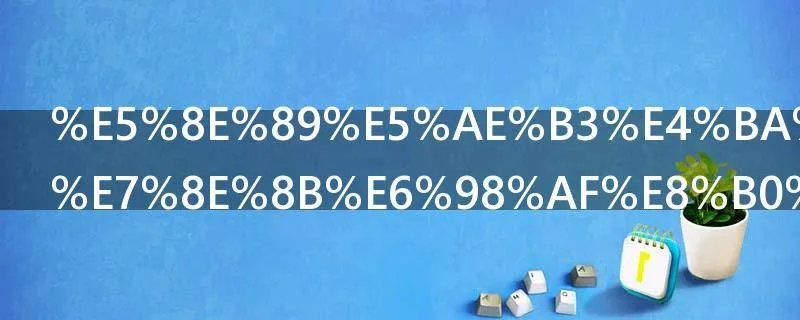 厉害了我的王是谁