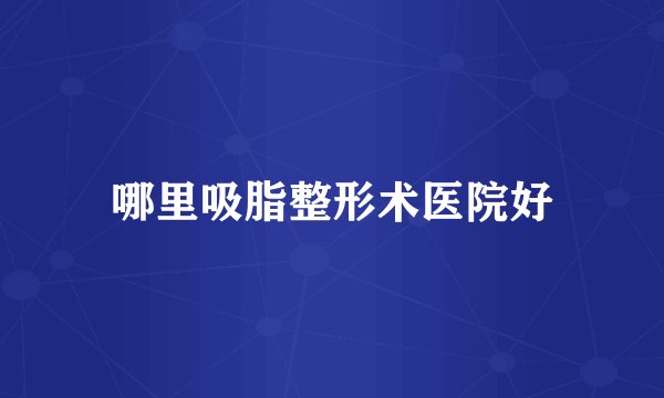 哪里吸脂整形术医院好