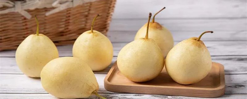 上海特产有什么 上海土特产都有些什么