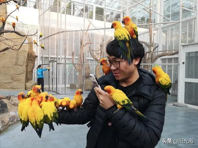 日照海洋公园门票多少钱？里边好玩吗？