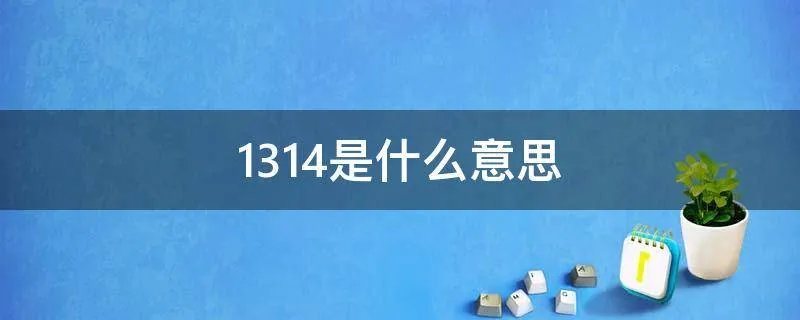 1314是什么意思