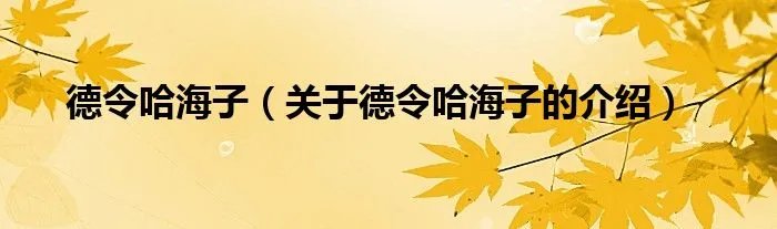 德令哈海子（关于德令哈海子的介绍）