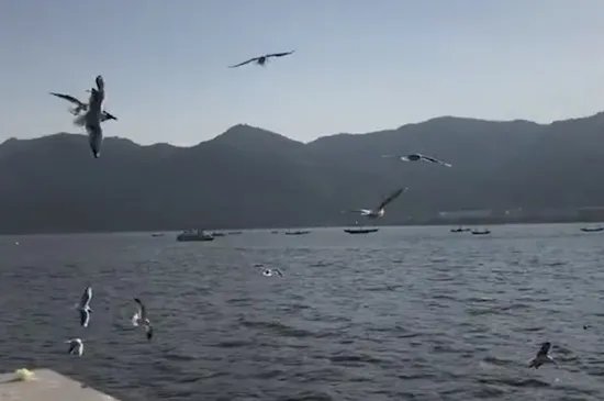 昆明有什么好玩的地方