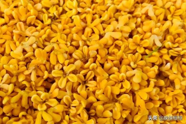 桂花蜜的制作方法？