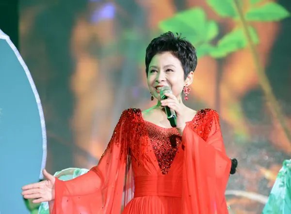 那是一个春天是什么歌